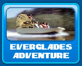 Florida Everglades Adventures