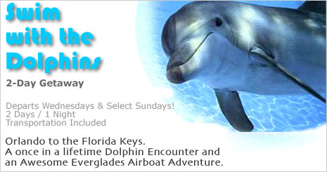 Dolphin Tours swim with the dolphins Orlando Florida.